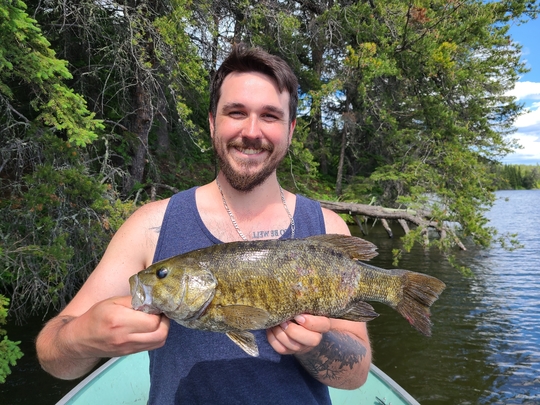 Smallmouth Bass