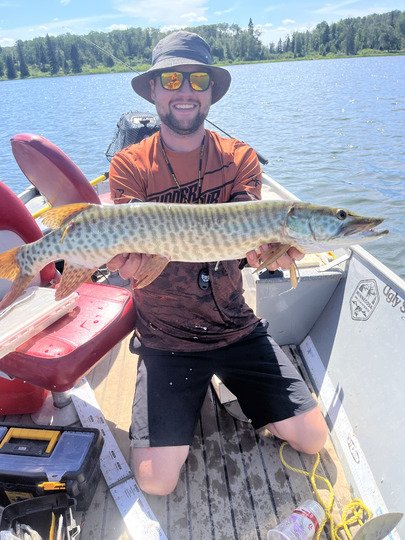 Muskellunge
