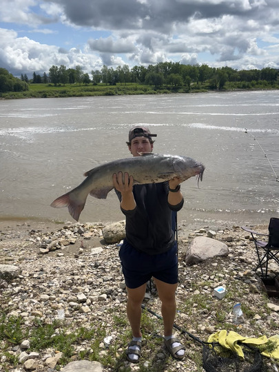Channel Catfish