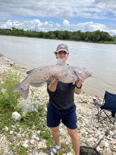 Channel Catfish