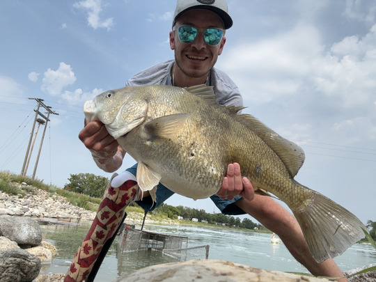 Freshwater Drum