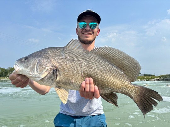 Freshwater Drum