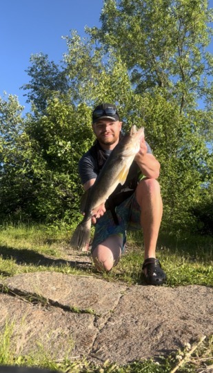 Walleye