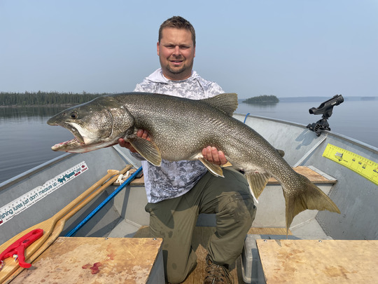 Lake Trout