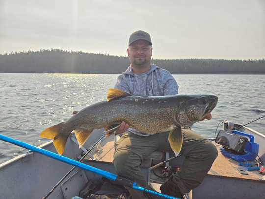 Lake Trout