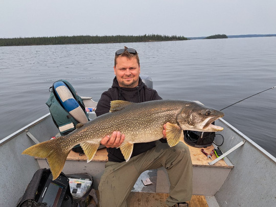 Lake Trout