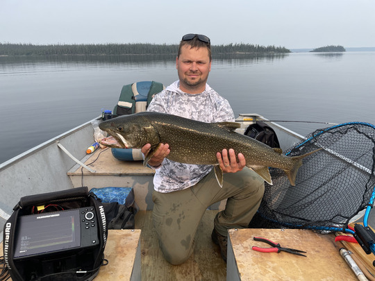 Lake Trout