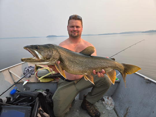 Lake Trout