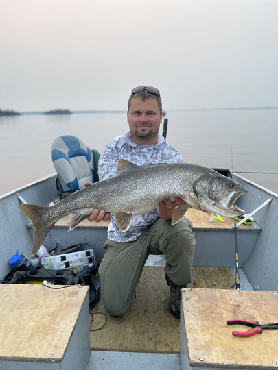 Lake Trout