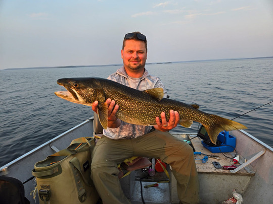 Lake Trout