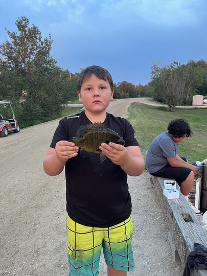 Sunfish