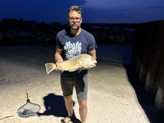 Freshwater Drum