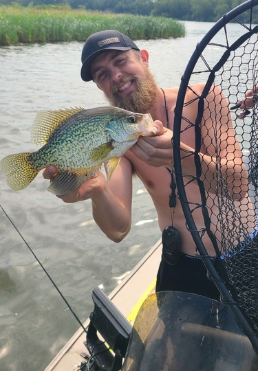 Black Crappie