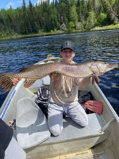 Northern Pike