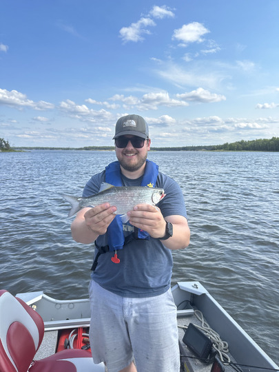 Goldeye