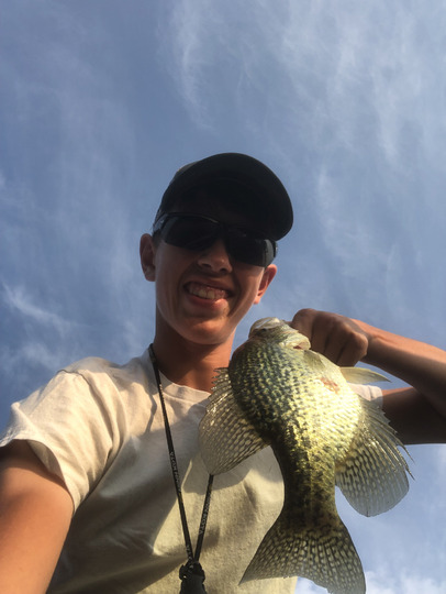 Black Crappie
