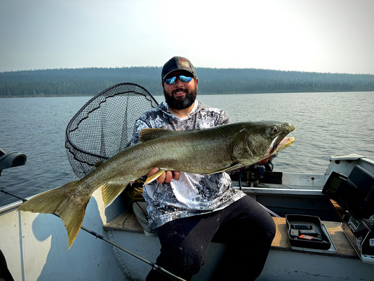Lake Trout