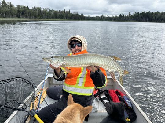 Muskellunge