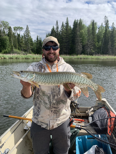 Muskellunge