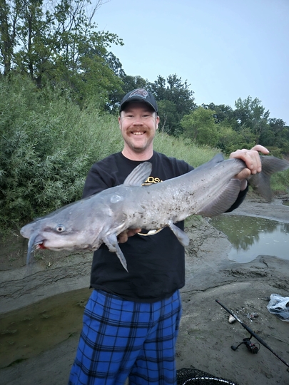 Channel Catfish