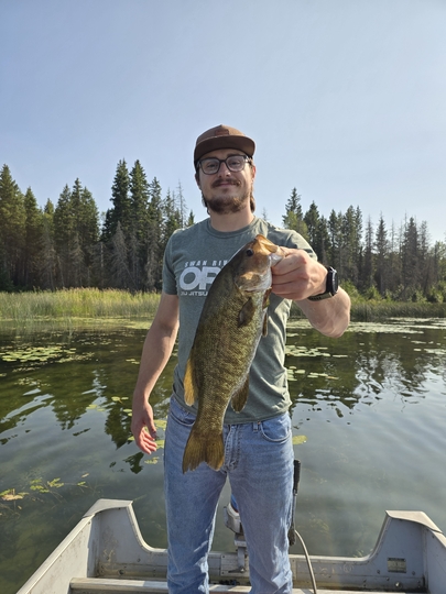 Smallmouth Bass