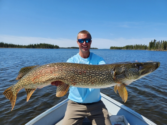 Northern Pike