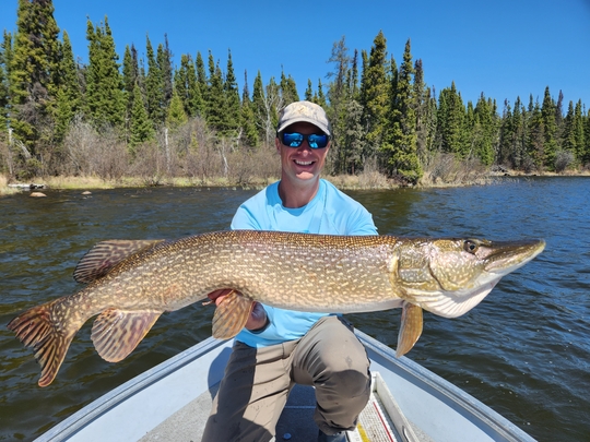 Northern Pike