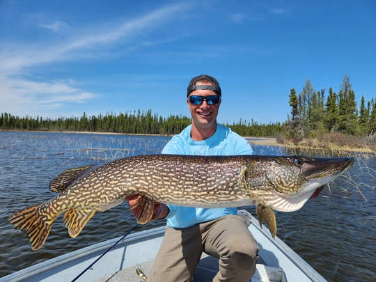 Northern Pike