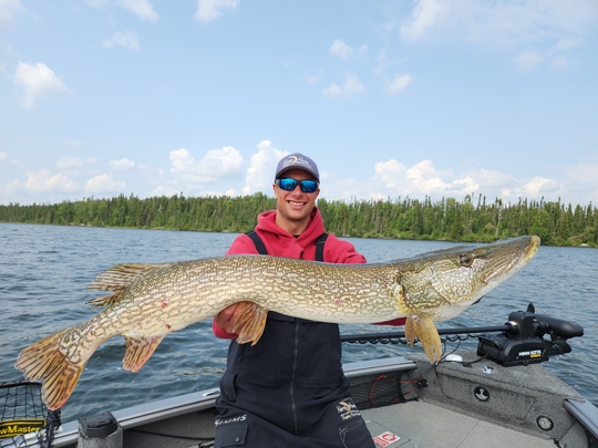 Northern Pike