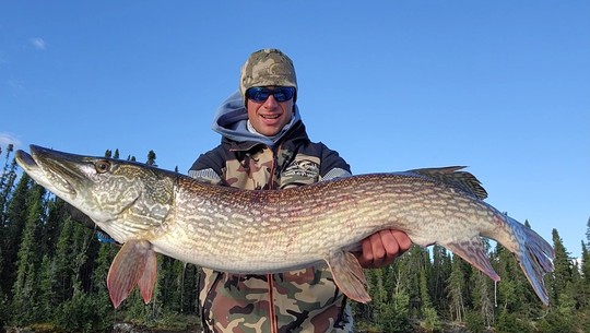Northern Pike