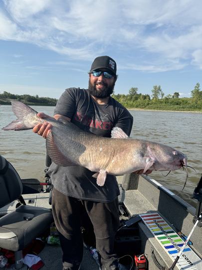 Channel Catfish