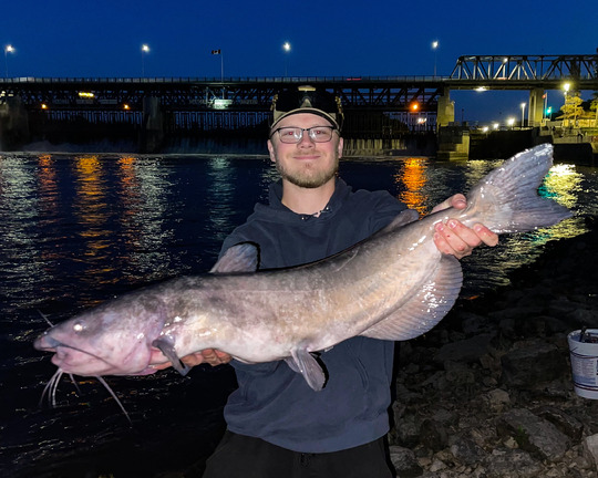 Channel Catfish