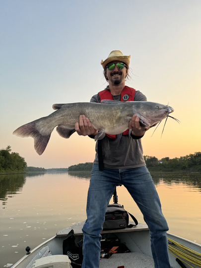 Channel Catfish