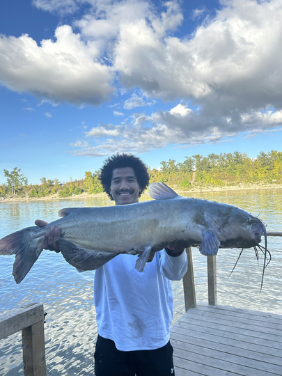 Channel Catfish