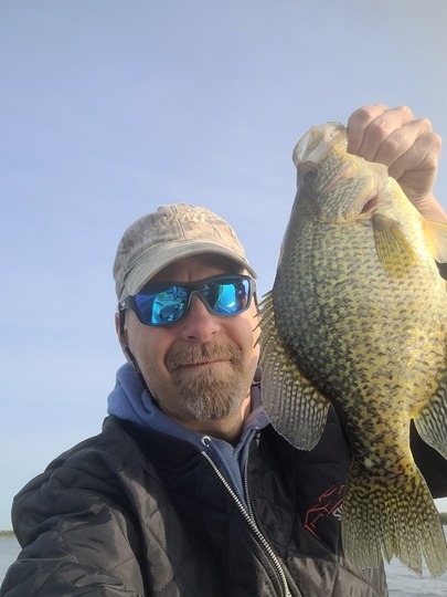 Black Crappie