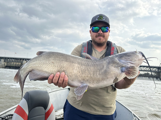 Channel Catfish