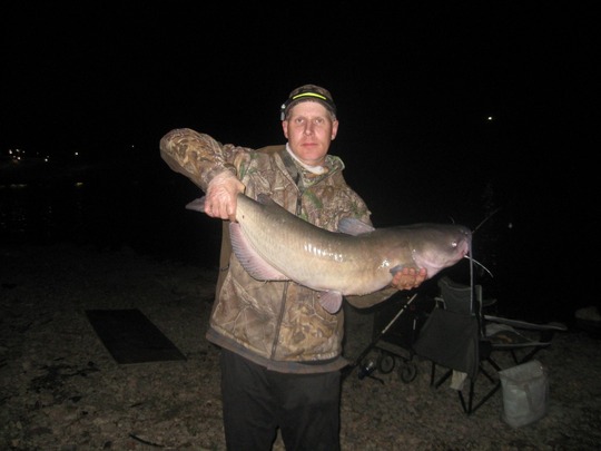 Channel Catfish