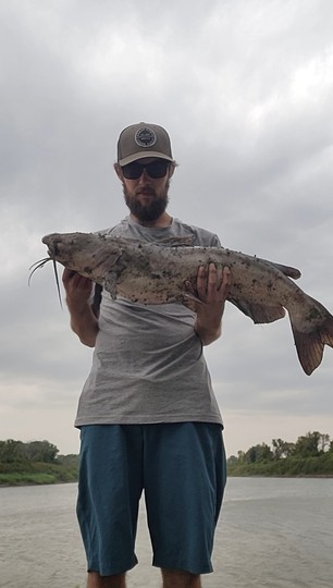 Channel Catfish
