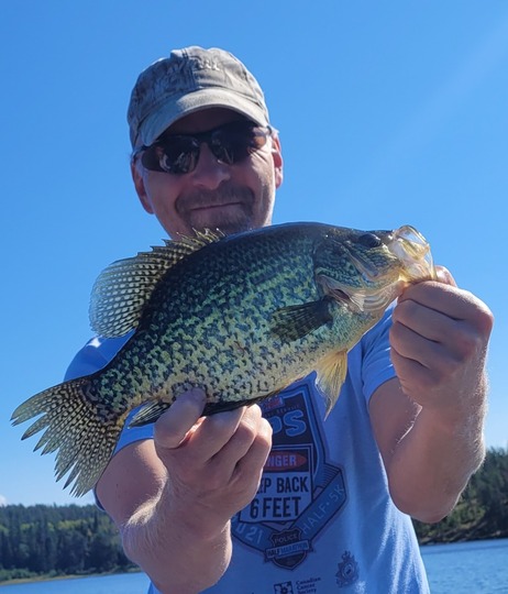 Black Crappie