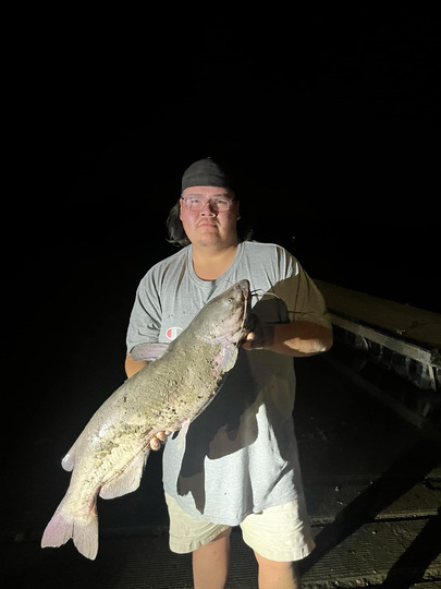 Channel Catfish