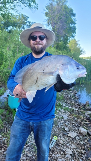 Freshwater Drum