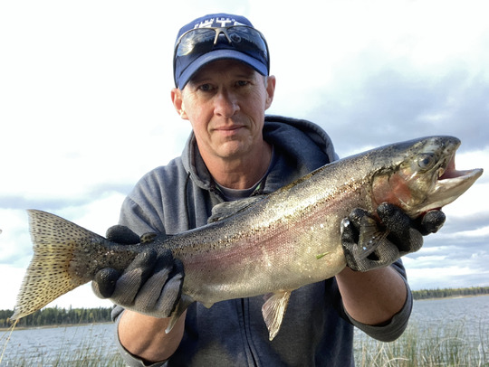 Rainbow Trout