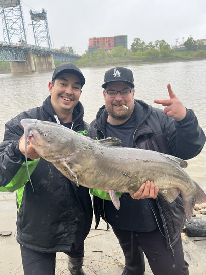 Channel Catfish