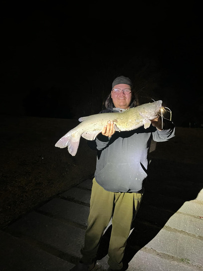 Channel Catfish