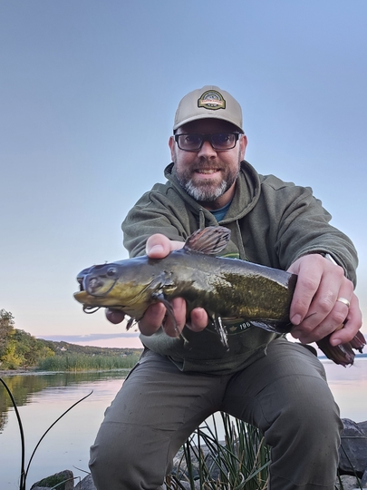 Bullhead
