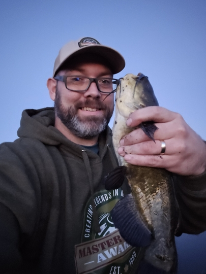 Bullhead