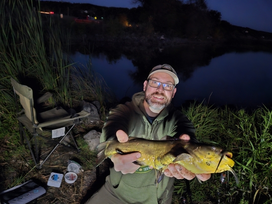 Bullhead
