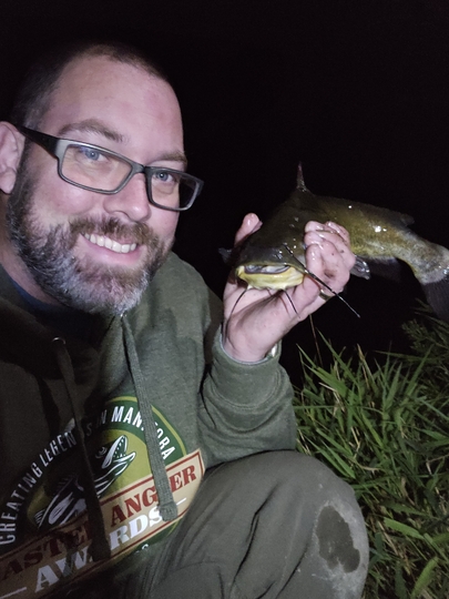 Bullhead
