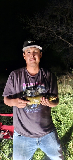 Bullhead