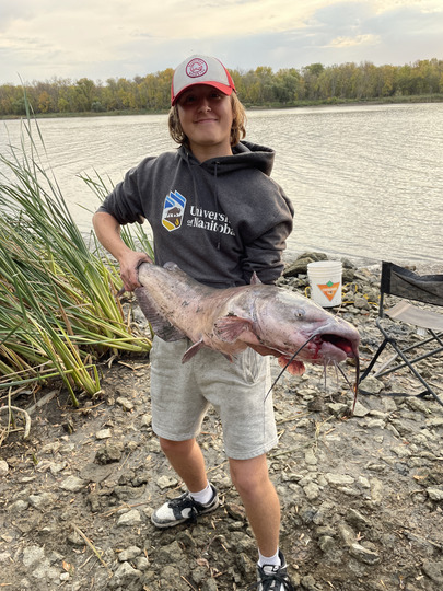 Channel Catfish